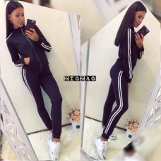 Спортивный костюм с белыми лампасами на кофта и штанах кофта на молнии воротник стойка