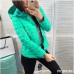 Женская стеганная куртка с капюшоном осень весна 