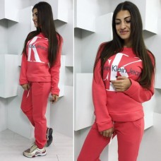 Спортивный костюм теплый 458 Спортивный костюм теплый 458