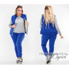 Теплый спортивный костюм тройка кофта штаты и жилет на меху (реплика Levis) Батал Теплый спортивный костюм тройка кофта штаты и жилет на меху (реплика Levis) Батал